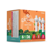Gateway Tea® 6-Pack Variety Pack - Daily Pick